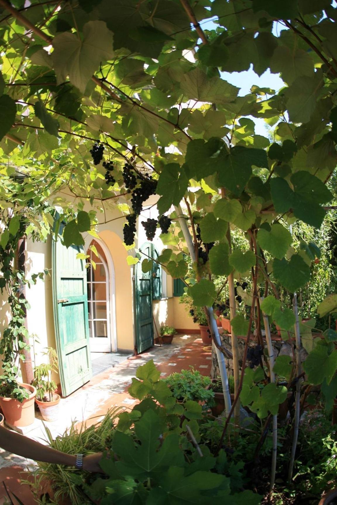 טלארו Locanda Miranda מראה חיצוני תמונה